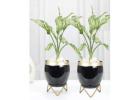 Stylish Plant Stands Online - Perfect for Every Space at Dusaan