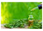 Bhringraj Oil Manufacturers and Suppliers in India | Atomm Botanicals