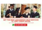 Hire a best tutor for assignment help service