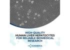 High-Quality Human Liver Hepatocytes for Reliable Biomedical Research – Kosheeka