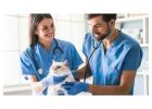 Top Veterinary Injection Manufacturers In India