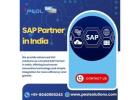 SAP Partner in India