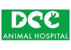 Best Pet Clinic in Noida - DCC Animal Hospital