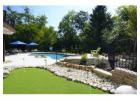 Backyard turf putting green