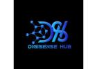 Digisensehub - Ecommerce Website Development & Digital Marketing Experts