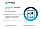 Salesforce Managed Services - Salesforce Data Cloud