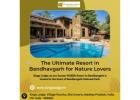 The Ultimate Resort in Bandhavgarh for Nature Lovers