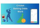 Big Bash League Betting Odds & Predictions