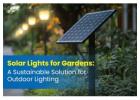 Solar Lights for Garden in Tamil Nadu