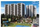 Luxury Residential Project | Gurgaon