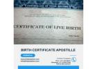 Birth Certificate Apostille Services in UAE