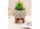 Stylish Plant Stands Online - Showcase Your Greenery with Dusaan