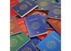 Find the Best Services for Same Day Passport Renewal at Global VIP Services