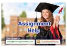 Best Assignment Help Firm for Engineering and Nursing - No1AssignmentHelp.Com