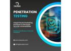 Vulnerability Assessment and Penetration Testing (VAPT) Services