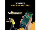 Winbuzz: Revolutionizing Online Gaming