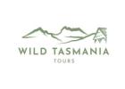 Tasmanian Wilderness Experiences Walking Tours : Nature Beauty