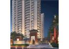 A perfect designed condominiums at SKA wave city  