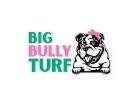 Big Bully Turf