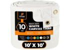 Buy Heavy Duty White Canvas Tarps with Grommets