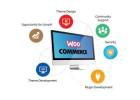 Expert WooCommerce Development Services in India