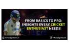 Understanding Online Cricket ID: Essential Insights for the Elite Player