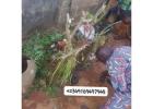 The Best Powerful Spiritual Herbalist Native Doctor In Nigeria +2349169497945