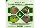 Invest in the Best Agricultural Land in Bangalore