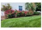 Premier Lawn Care Services in Woodbridge, VA for Healthy Yards