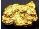 Gold Nuggets/bars+27 73 799 4524