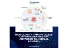 High-Quality Primary Cells & Organoid Models for Advanced Biomedical Research