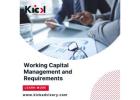 Working Capital Management and Requirements in Mauritius