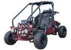 Rev Up Your Fun Go Karts for Sale at NTX Powersports