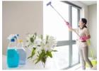 Window Cleaner London