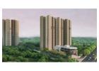 Experion in Sector 53 Gurgaon - New Residential Project