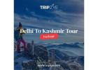 delhi to kashmir package