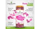 Experience the Natural Beauty of Rose Petals