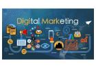 Digital Marketing Course in Delhi