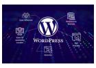 Leading WordPress Development Company in India | Professional WordPress Development Services