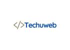 Techuweb: Creative Web Solutions for Digital Growth