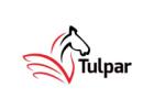 Tulpar Global Taxation