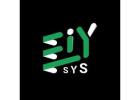 Tally Services - Eiy sys