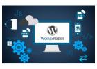 Custom WordPress Website Development | Cubic Digital