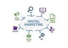 Hire The Best Digital Marketing Agency in Delhi For Business Growth 