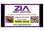 Cockroach Pest cleaning service | AMC is also available Price List | 1981