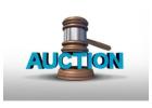 North Texas Auctions