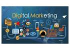 Invoidea is The Best Digital Marketing Agency in Delhi