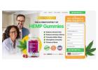 ViaHEMP HEMP Gummies Price Update 2025 UK