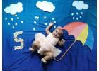 Creative 5 Month Baby Photoshoot Themes for Amazing Memories