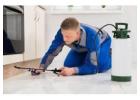 Reliable Exterminator Services for Complete Pest Control